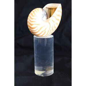 Vintage 1970's Natural Nautilus Seashell Brass Candle Holder Round Lucite Base